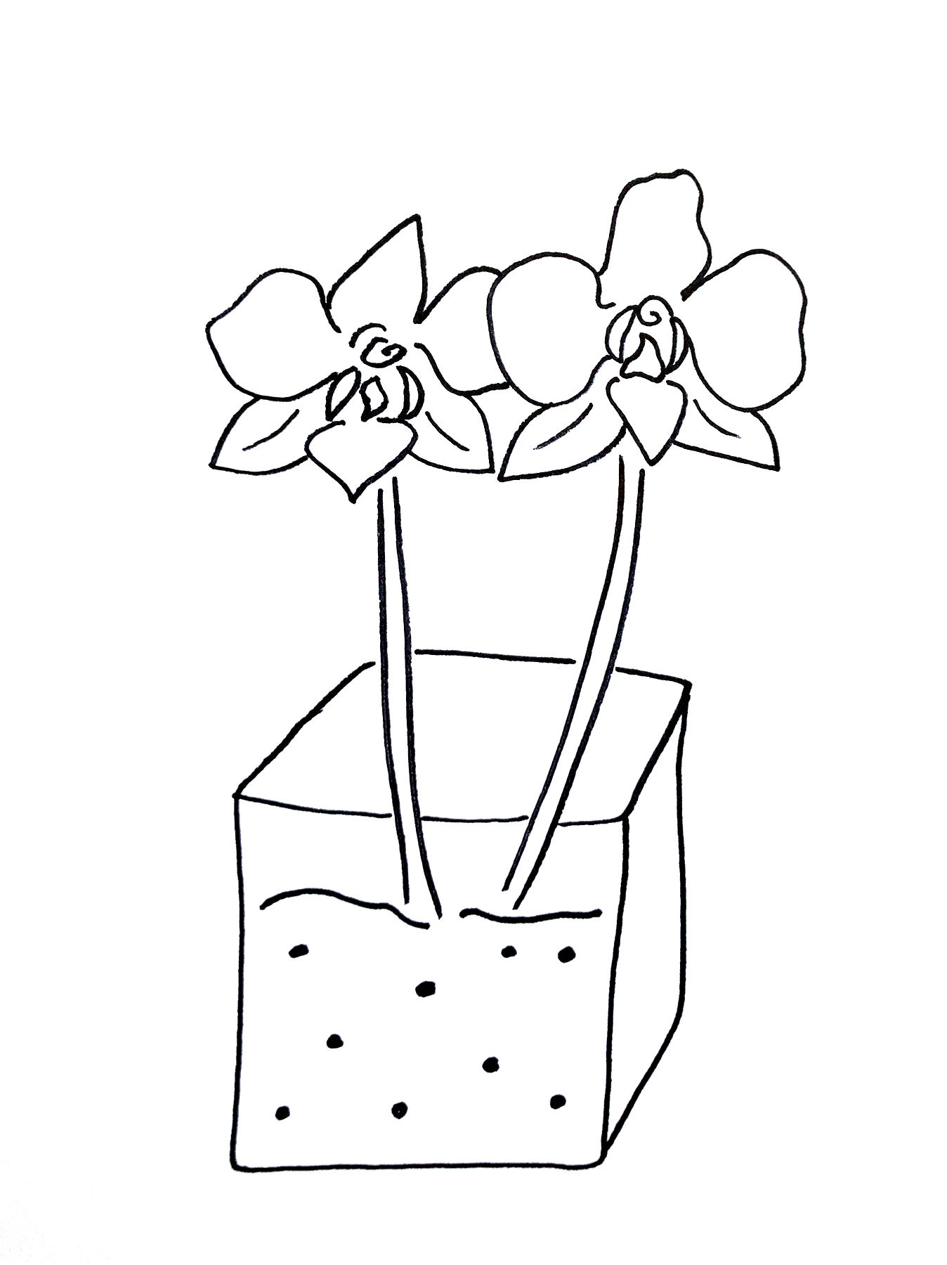 Flower 8 – Open Edition Print – Unframed