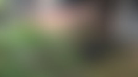 CONDICIÓN ACTUAL DEL COLISEO ÁLVARO MESA AMAYA