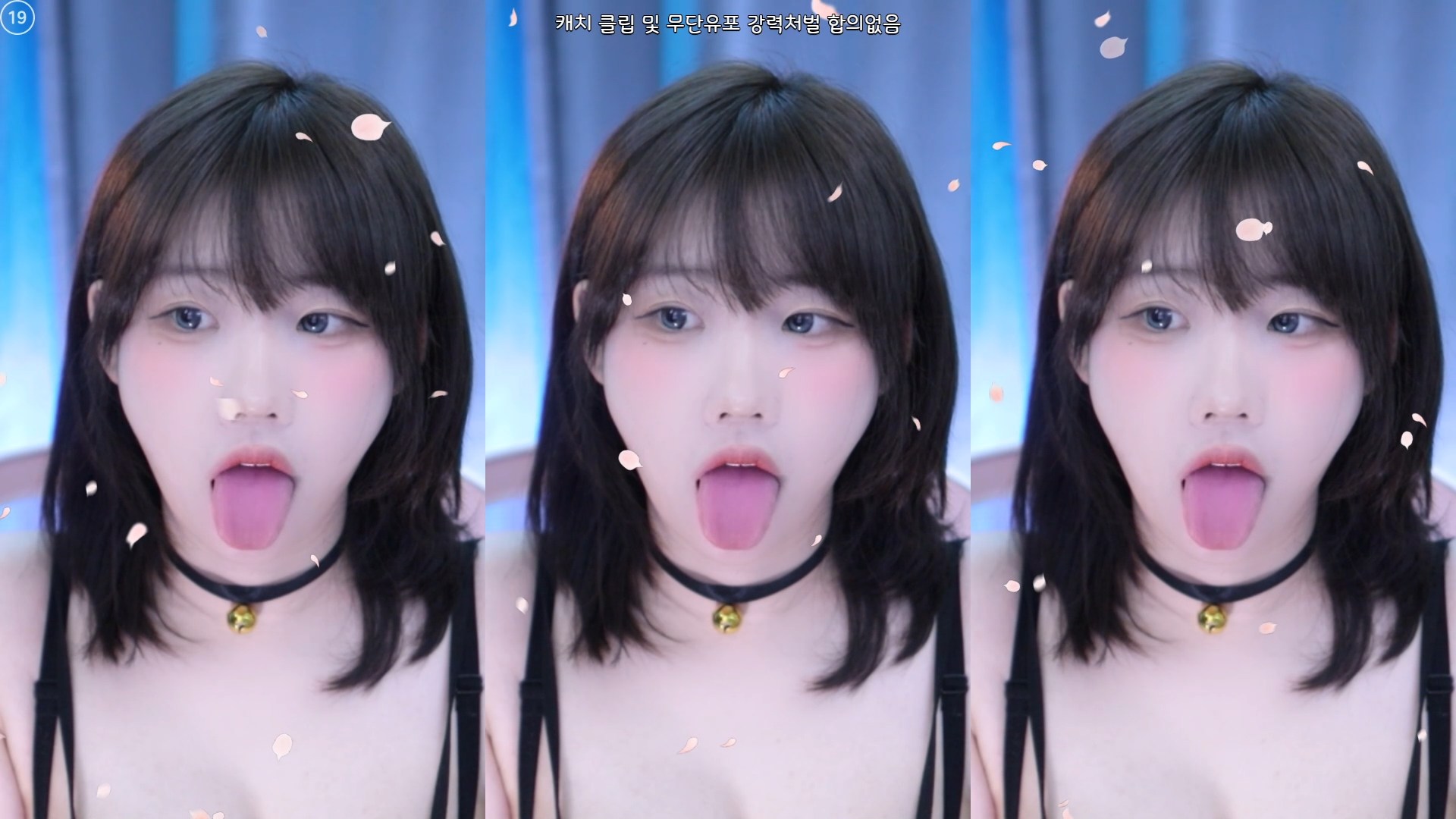 뒤치기 자세 시뮬레이션 가슴 무빙 지리는 BJ소금
