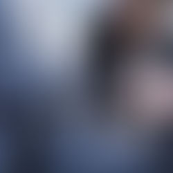 Como transportar pets com segurança no carro?