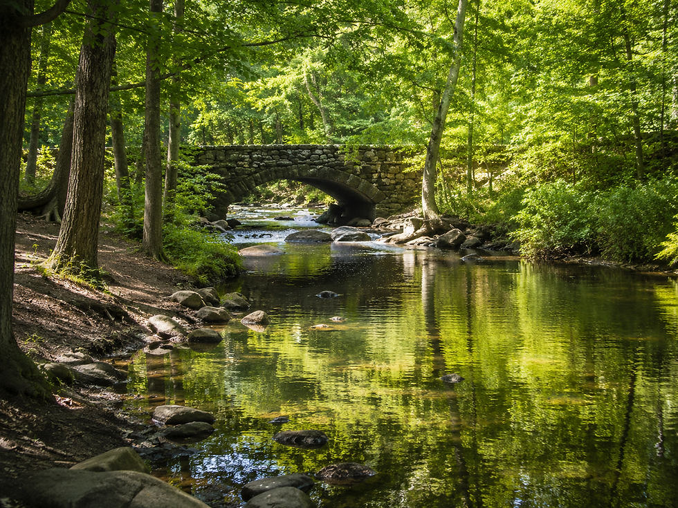 Rye Nature Center, Rye, New York