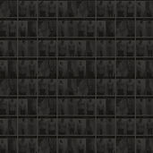 Optmized collage picture_edited.jpg