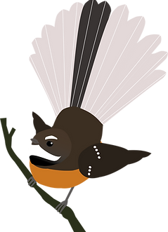 fantail_edited.png