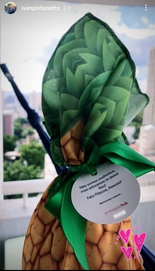 Abacaxi de chocolate PinePr