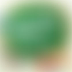 LGS BURSLULUK SINAVI BAŞVURULARI BAŞLADI