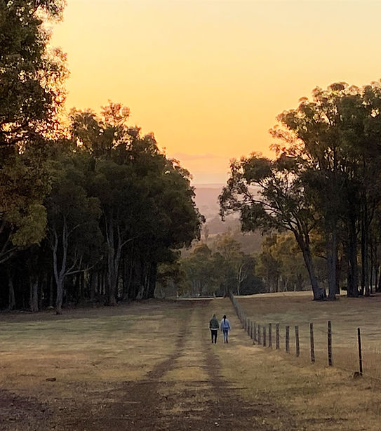 Incredible sunset walks