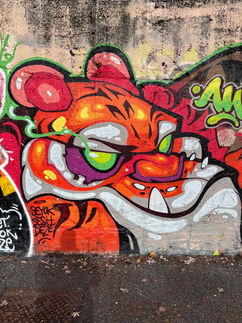 Dettaglio di murales e graffiti urbani con volto di tigre.