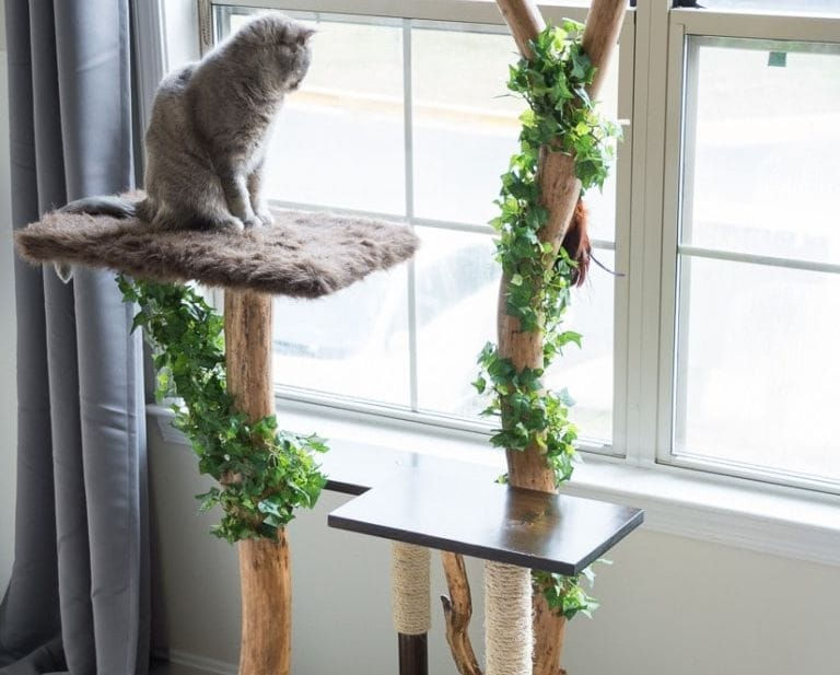 עץ משחקים לחתול/Cat climbing tree