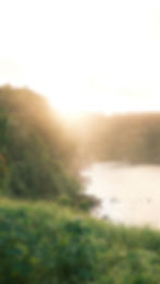 459BDFF5-AD25-4865-B085-F3B64518908E_1_102_o.jpeg