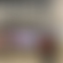 LSTV Blog #4 - November 2019