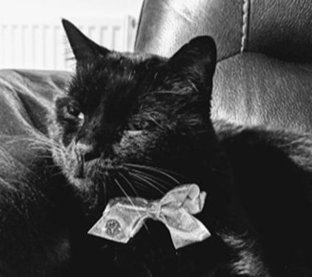 Lockdown Doesn't Have To Get YOU Down!