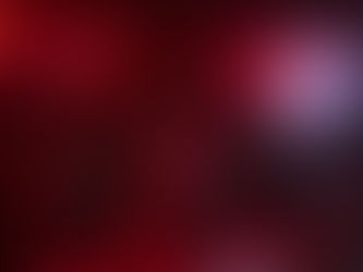 Pierce Brothers at Brudenell Social Club