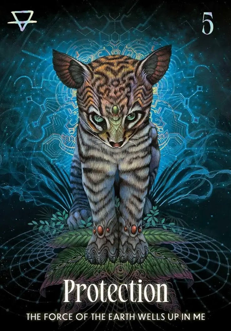 Thumbnail: Shamanic Oracle