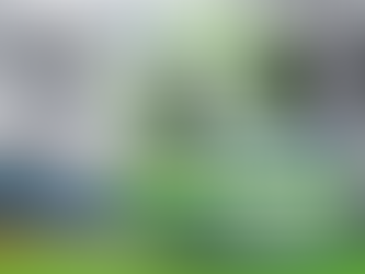 📢 • LABO DES SOLS RECRUTE UN NOUVEAU CO-ÉQUIPIER !