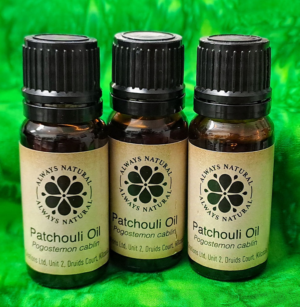Patchouli Essential Oil 