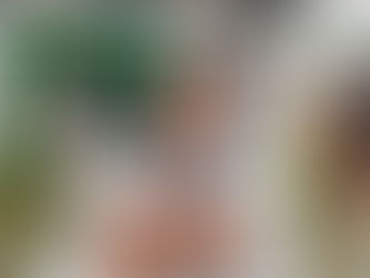 My First Trinidad & Tobago Carnival