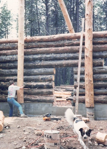 Placing vertical log to support a purlin