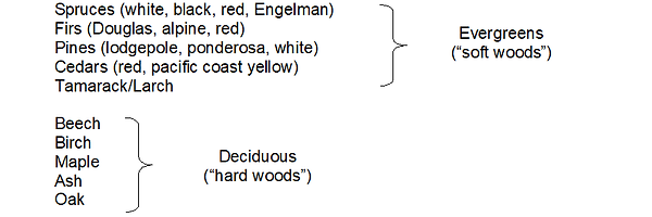 Common types of wood used for log home building