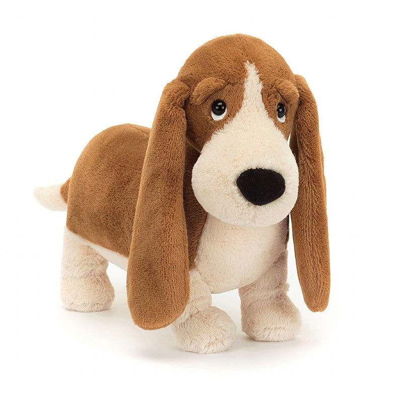 Jelly cat - Randall Basset Hound