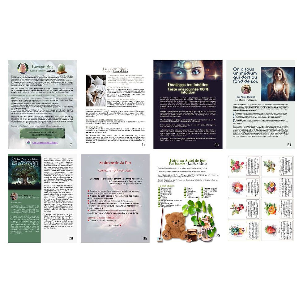 Miniature : Magazine La fée violette - Édition24
