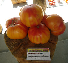 DSC07336.JPG
