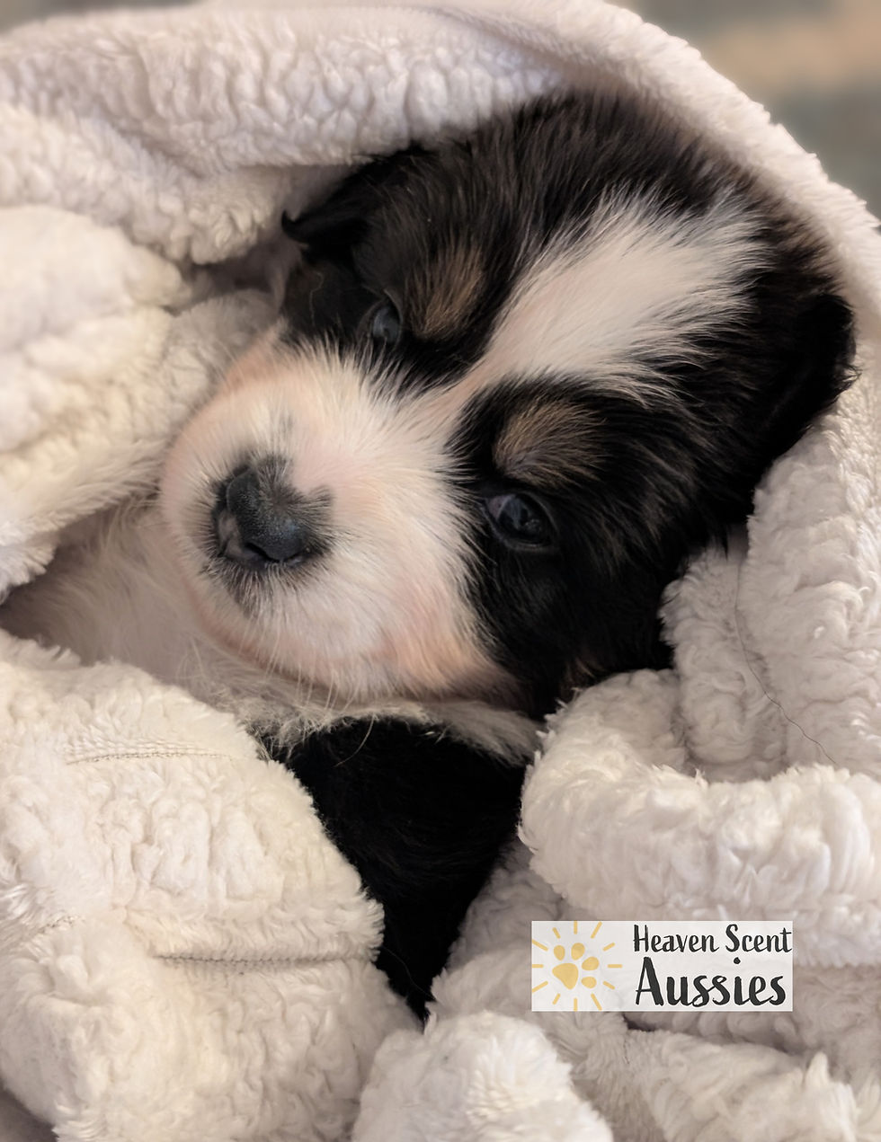 Thumbnail: Mario BTM