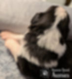 Thumbnail: Mario BTM