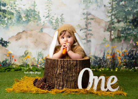1 yaş kız bebek konseptleri, Bebek Fotoğrafçısı, Ankara Bebek Fotoğrafçısı, 1 yas cekimi Ankara, Koala Doğum Hikayesi, Ankara Bebek Fotoğraf Stüdyosu, basınevleri fotoğrafçı
