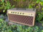 Thumbnail: HALF-LIFE Custom Amp Head 20w