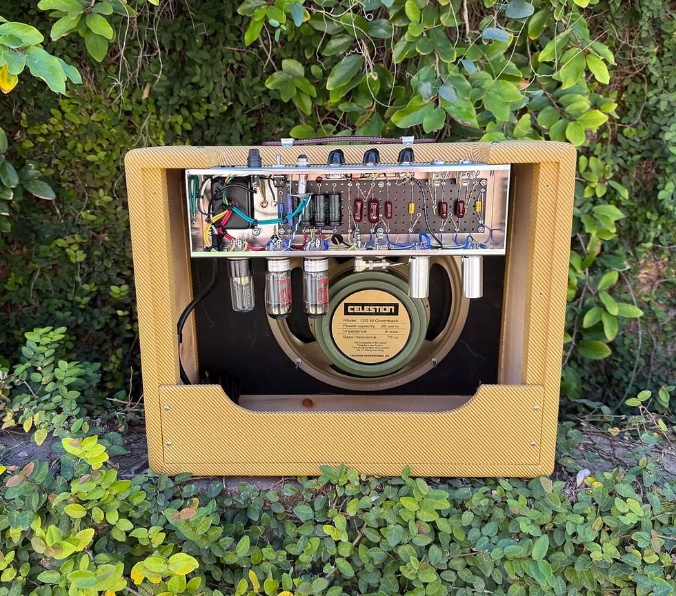Thumbnail: ANTIQUITY Custom 12w Combo