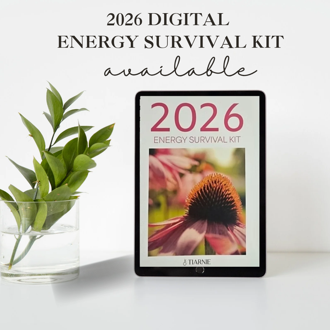 2026 Energy Survival Kit - Digital Copy