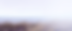 Screen Shot 2023-02-28 at 1.49.22 PM.png
