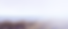 Screen Shot 2023-02-28 at 1.49.22 PM.png