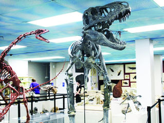 * Sold Out * Roynon Museum of Paleontology - Escondido