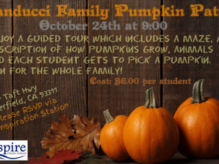* Sold Out * Banducci Family Pumpkin Patch - Bakersfield