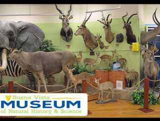 Family Day Discounted Admission - Bakersfield, CA