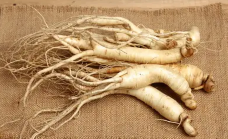 GINSENG
