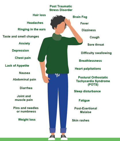 Inflammation chronique, microbiote et nerf vague