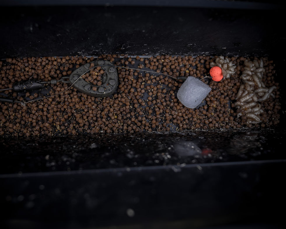 Kleine Futtergaben dank Baitboot