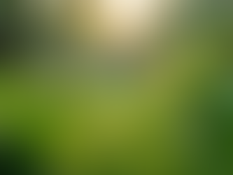 The Importance of Sustainable Living in Today's World