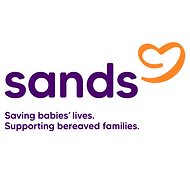 LOGO BOX - Sands.png
