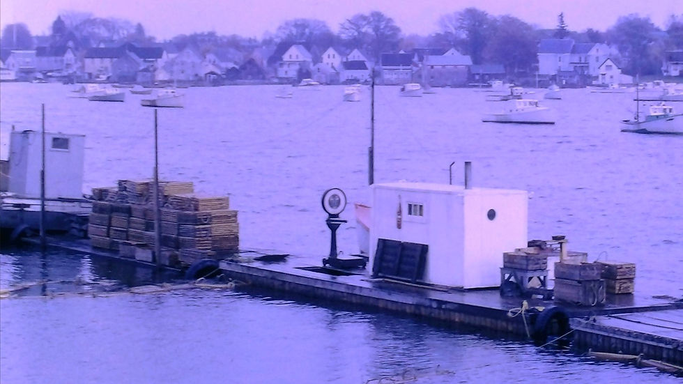 Long Island, New York - Film processed Nov, 1964 (8)