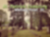 St Patrick Cemetery video | Family Scrapbook | MyGenealogyAddiction.com