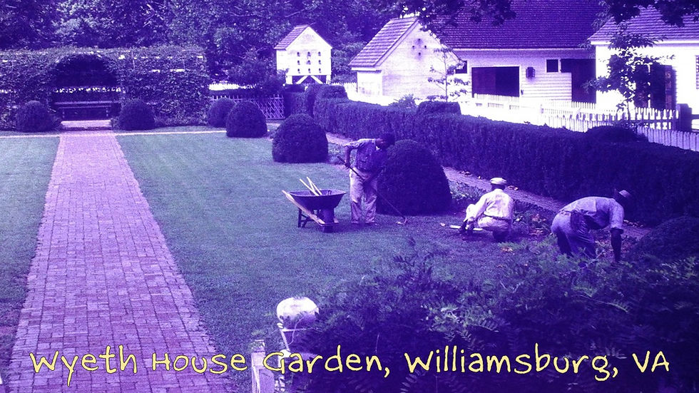 George Wythe House, 101 Palace Green St, Williamsburg, VA 23185 - Film processed Sep, 1962