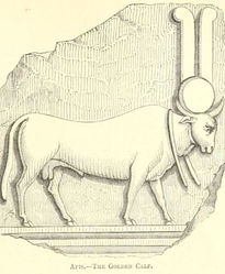 The Golden Calf