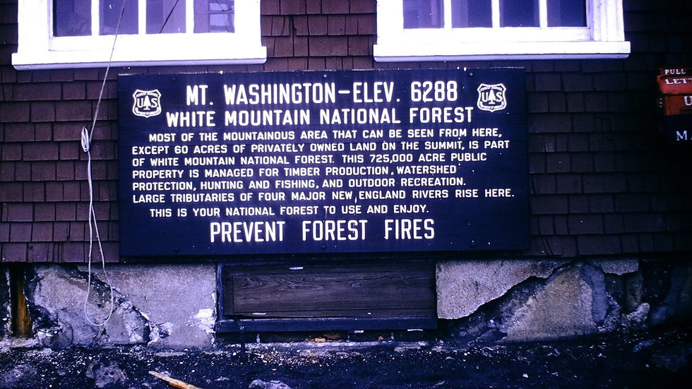 Atop Mt Washington - Film processed July, 1961