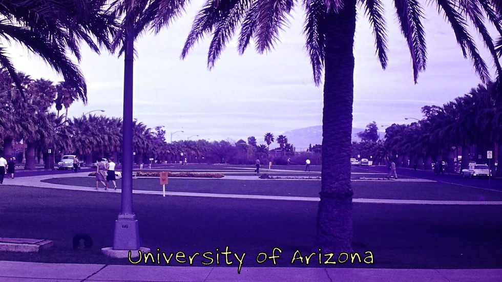 The Mall at Univ. of Arizona - Film processed Apr, 1963