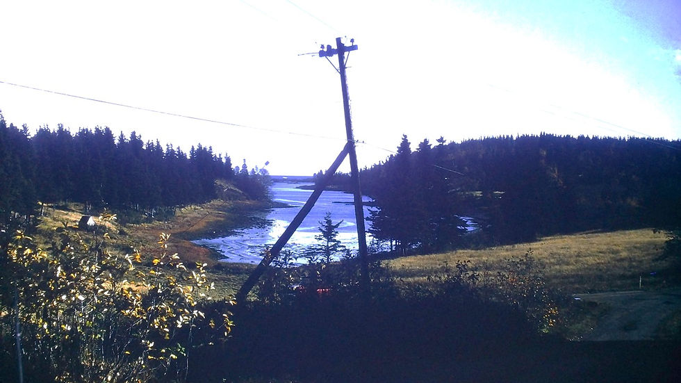 Long Island, New York - Film processed Nov, 1964 (1)