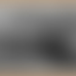 Grip's Historical Souvenir Series, NY town photos