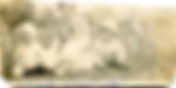 William H Dickinson first three babies | Family Scrapbook | MyGenealogyAddiction.com
